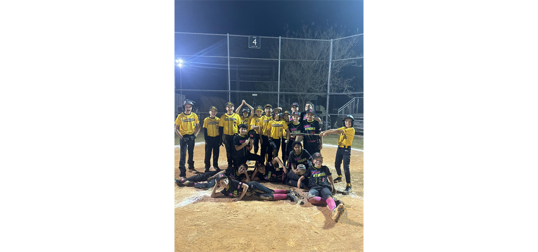 EALL Majors Fall 2024